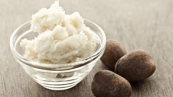 shea butter shea butter
