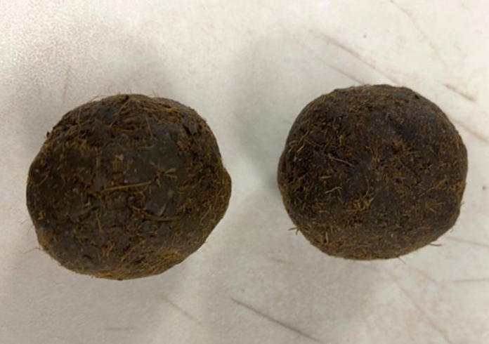 The cow dung cakes found in a suitcase that arrived on an Air India flight at the Dulles Washington airport in the US. Photo: US Customs and Border Protection The cow dung cakes found in a suitcase that arrived on an Air India flight at the Dulles Washington airport in the US. Photo: US Customs and Border Protection