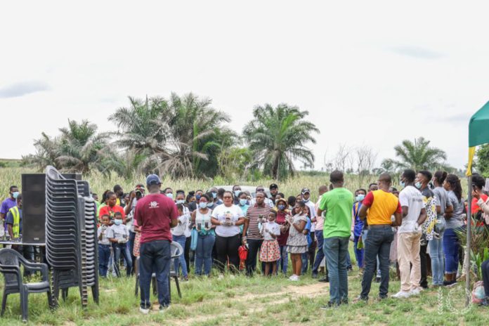 ICGC embarks on tree planting exercise