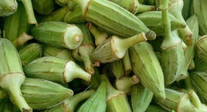 okro okro