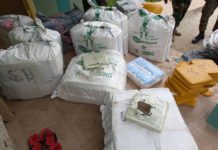Immigration Service intercepts 607 parcels of Indian hemp at Wli Todzi