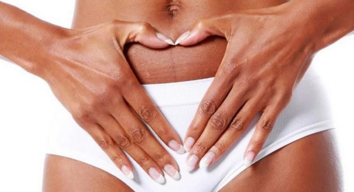 vagina vagina