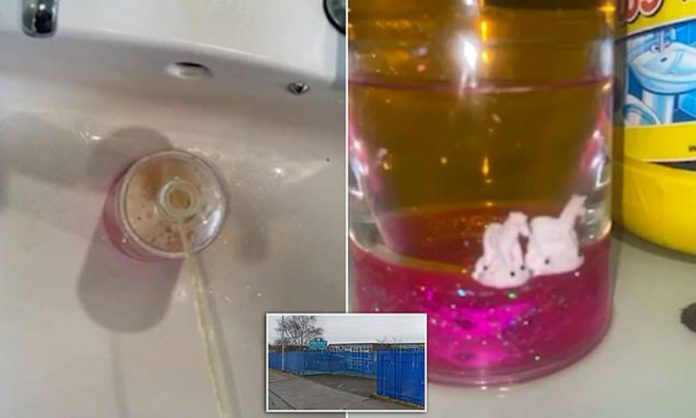 urine