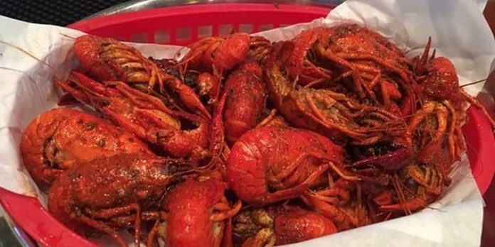 Crayfish