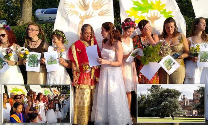 women marry trees