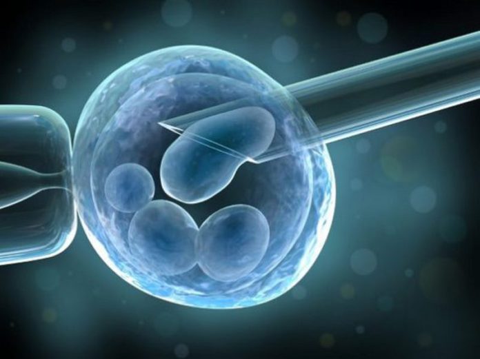 BASIC-EGG-DONATION-1-566x424 (Copy)