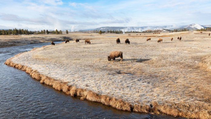 Firehole River