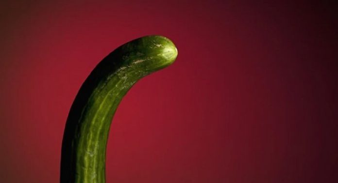 Cucumber vibrator