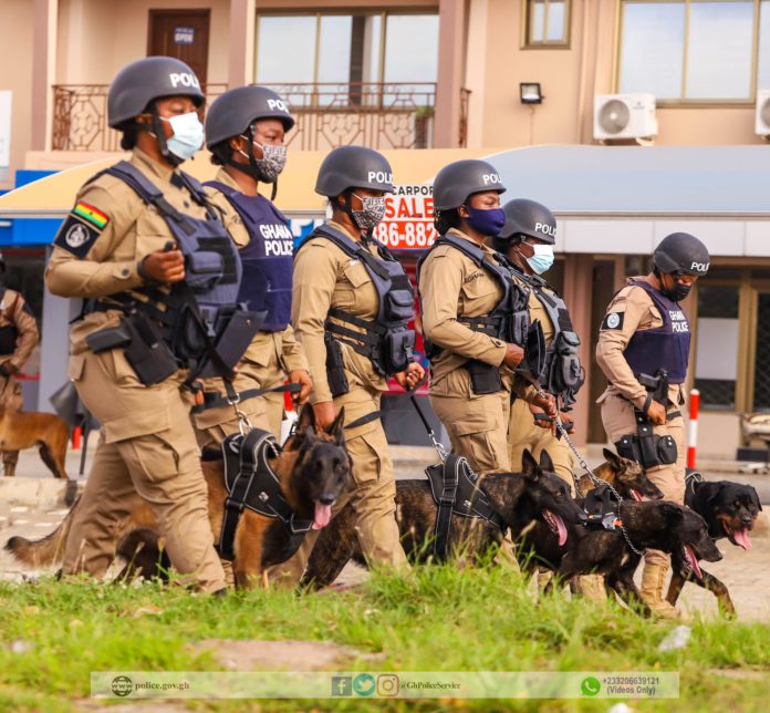 Police dogs