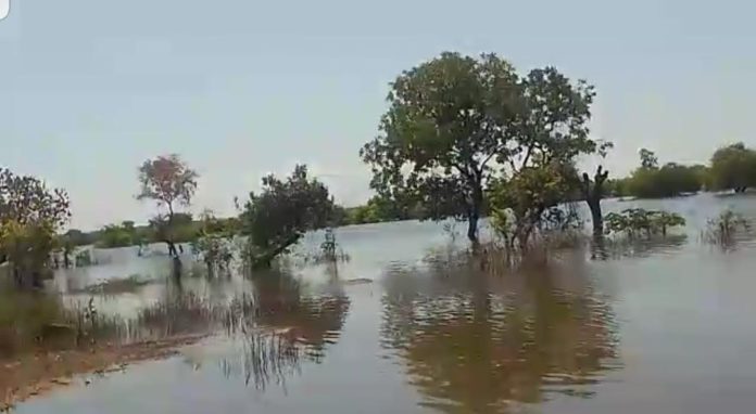 flood