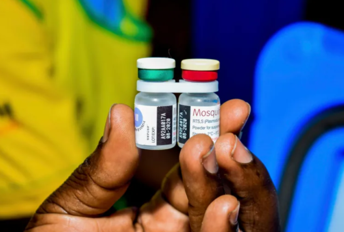 File Photo: Malaria Vaccine