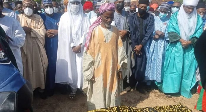 sani dangote