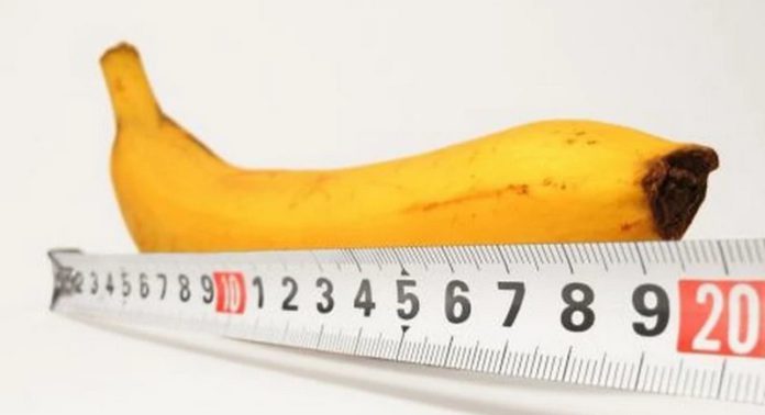 penis stretching