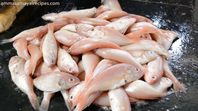 Fish