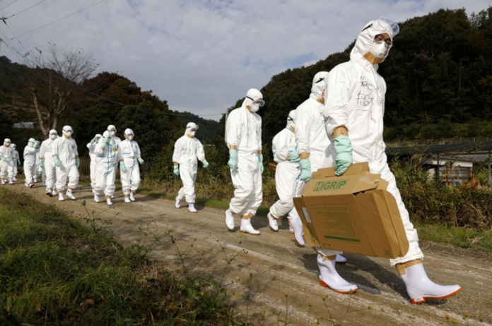 Officials in protective suits head to a poultry farm for a suspected bird flu case in Higashikagawa, western Japan, in this photo taken by Kyodo November 8, 2020. Mandatory credit Kyodo/via REUTERS
