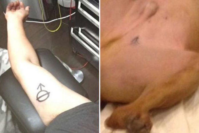 dog tatoo