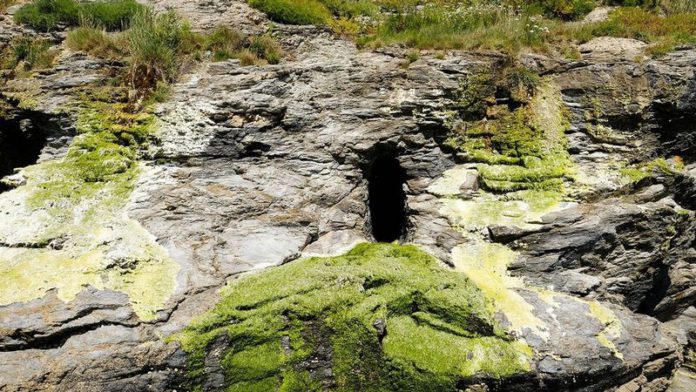 0_The-18th-century-bathroom-hidden-in-a-Cornish-cliff-near-a-castle (Copy)