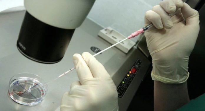 IVF
