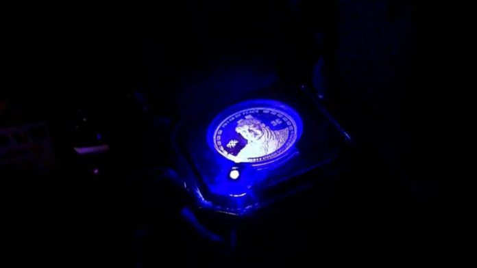 the gold -coin-