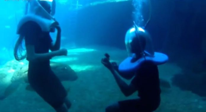 Lovely moment celeb proposed to his lover underwater