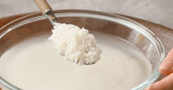 rice