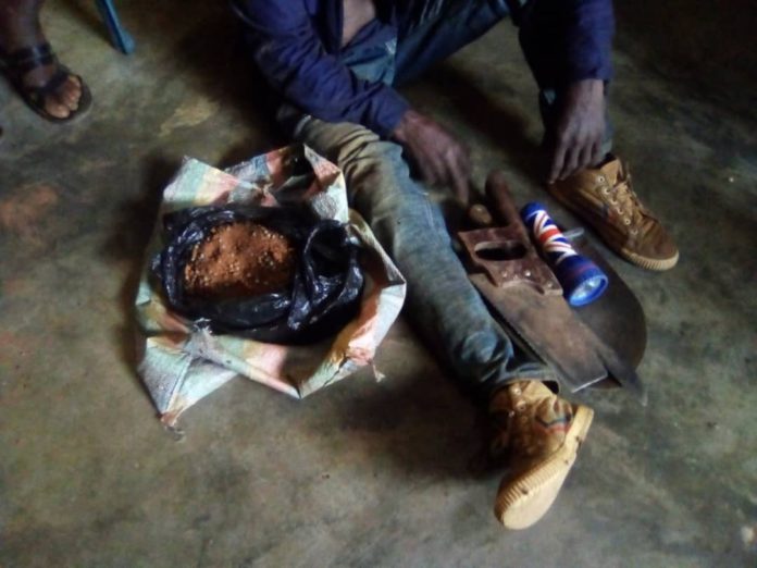 Essel nabbed for grave robbery