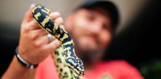 The reader said 'I’m excited by the prospect, but I’m also a little nervous' about the impending meeting (Image: Getty Images)