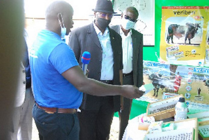 Minister Bright Rwamirama: Operations Manager at the Ugandan Trypanosomiasis Control Council (UTCC) Minister Bright Rwamirama: Operations Manager at the Ugandan Trypanosomiasis Control Council (UTCC)