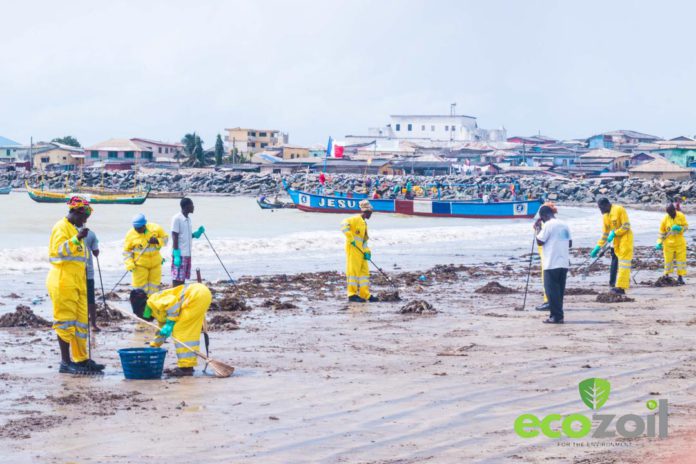 EcoZoil