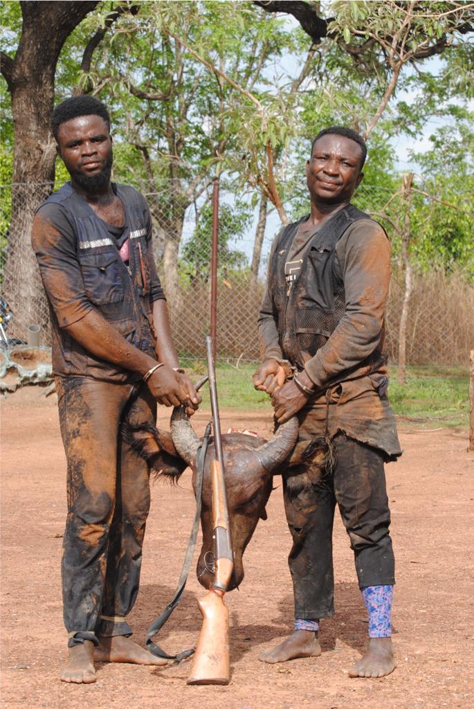 Mole poachers