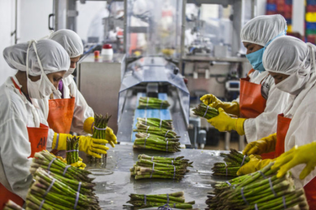 food-processing