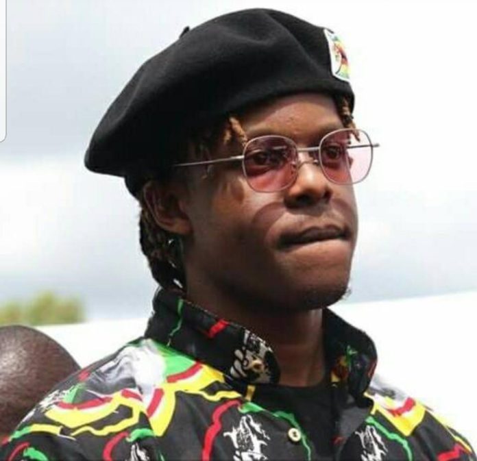 Robert Mugabe Jnr