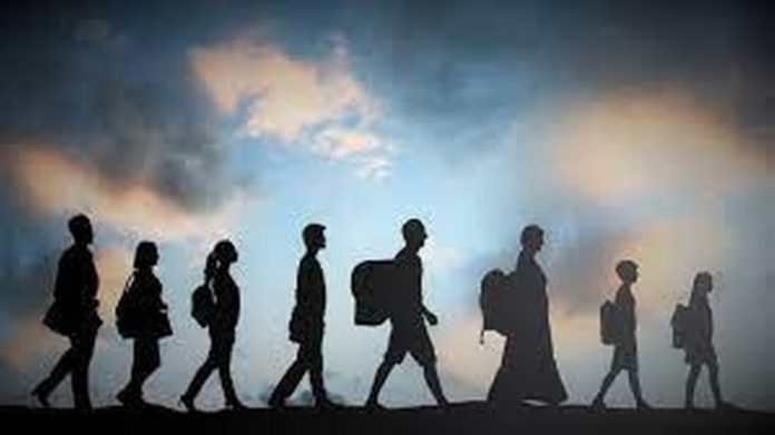 Migration