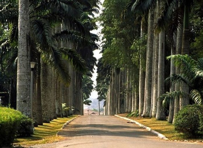 Aburi Gardens