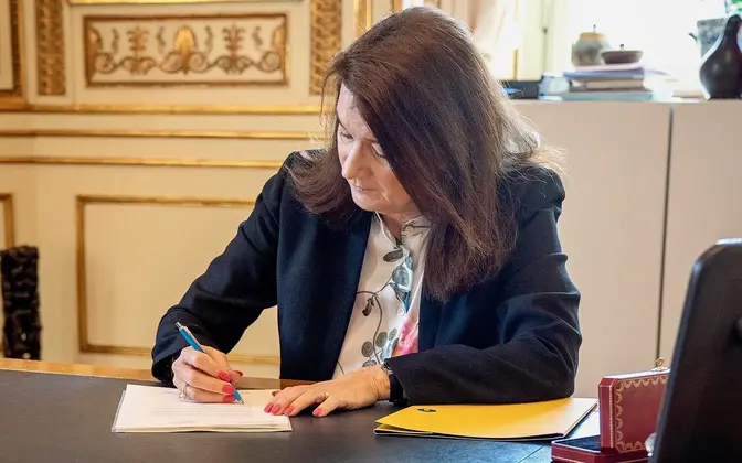 Ann Linde Pic (Twitter)