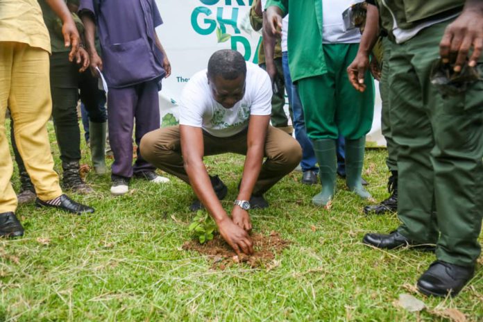 AngloGold plant trees