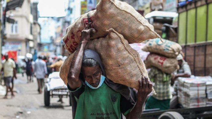 Sri Lanka is giving government officials an extra day off a week to encourage them to grow food, amid fears of a food shortage / Credit: GETTY IMAGES