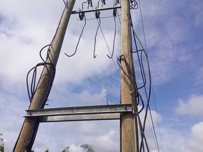 ECG