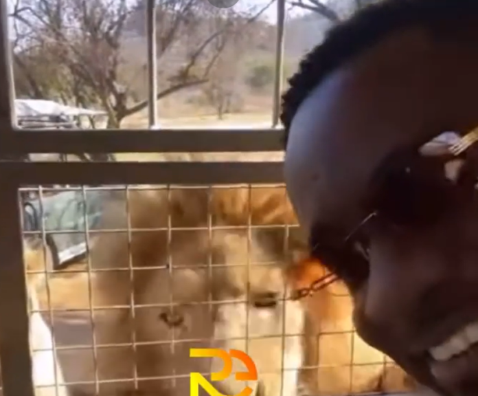 Sarkodie and his team enjoyed a trip to the wilderness at 'The Lion & Safari Park' in South Africa | credit: @ronnieiseverywhere Sarkodie and his team enjoyed a trip to the wilderness at 'The Lion & Safari Park' in South Africa | credit: @ronnieiseverywhere