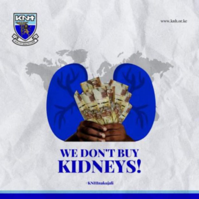 Kidney