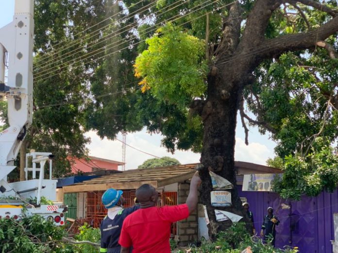 One killed after death trap tree falls on road at Bubuashie One killed after death trap tree falls on road at Bubuashie