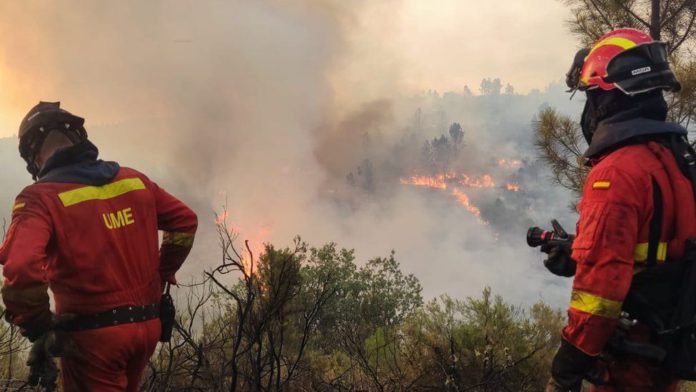 Europe heatwave / Credit: CIVIL PROTECTION SPAIN