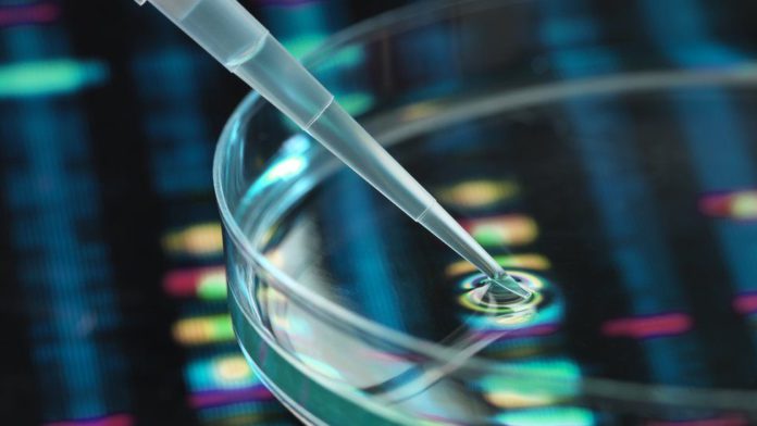 Heart gene therapy / Credit: GETTY IMAGES