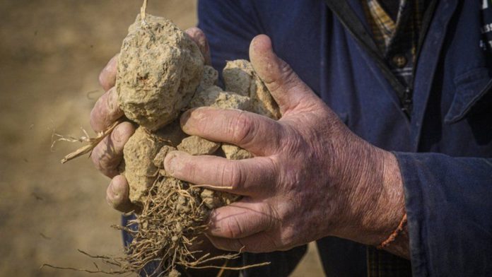 Italy emergency drought / Credit: EPA
