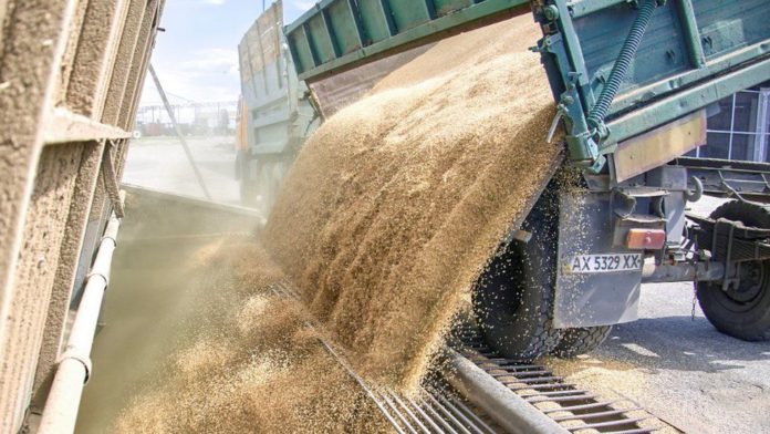 Ukraine and Russia to sign grain deal / Credit: EPA