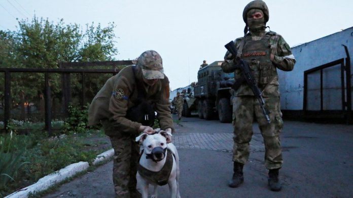 Ukrainian prisoners / Credit: REUTERS