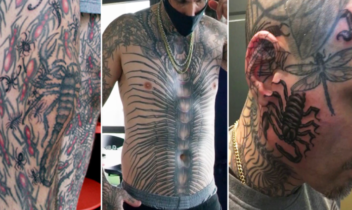 Man with 864 insect tattoos breaks record Man with 864 insect tattoos breaks record