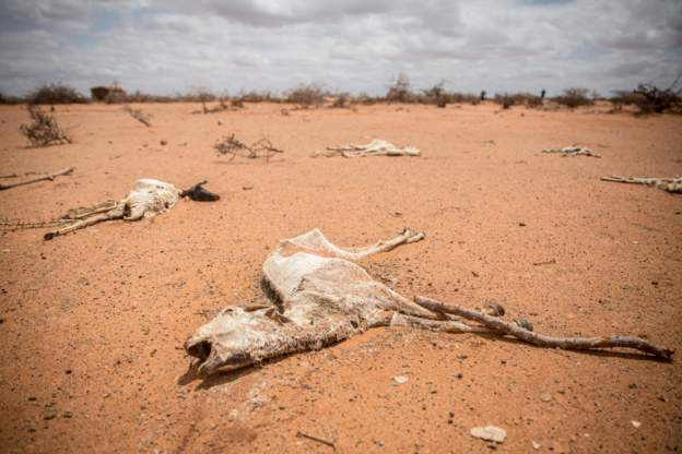 Somalia is facing the worst drought in a decade Somalia is facing the worst drought in a decade
