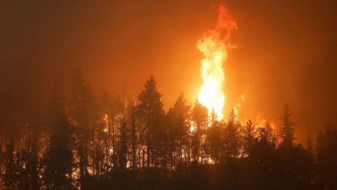 California wildfire / Credit: ABC NEWS