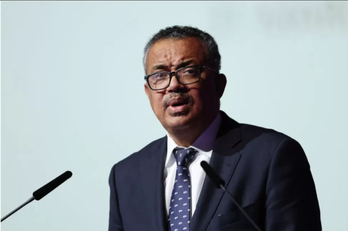Dr Tedros Ghebreyesus, WHO boss / Credit: AFP